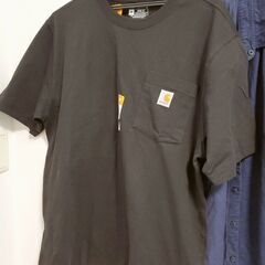 carhartt Tシャツ 新品 Mサイズ