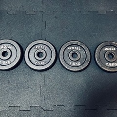 ダンベル60KGセット（アイアン） 片手30KG×2個セット+ ラバージムマット【50cm×50cm 厚み1.5cm 4枚3セット】 /IROTEC(アイロテック)