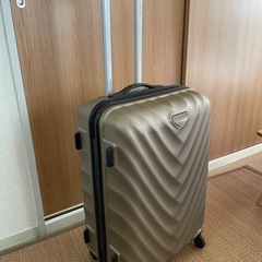 スーツケース　カメレオン　Mサイズ