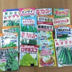 野菜の種18袋(一部開封済みあり)