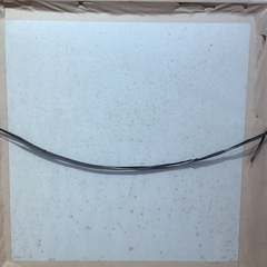 Willen Haenraets 1320/1950