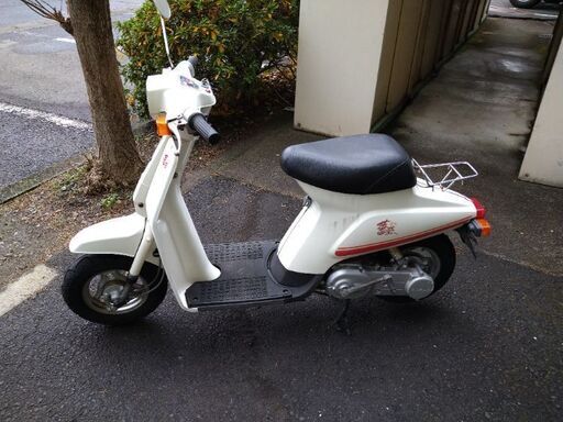 スズキ 50cc \