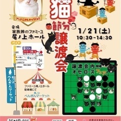 明日開催🐾保護猫ちゃん譲渡会のお知らせ🤹🏻‍♀️