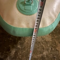 サップ2個セット