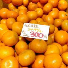 🍊次回をお楽しみに🍊