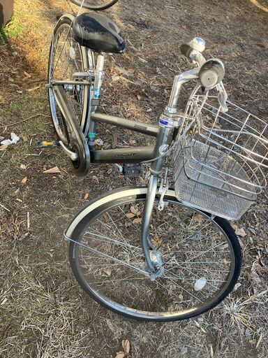 ブリヂストン自転車アルベルト　５段切り替え式