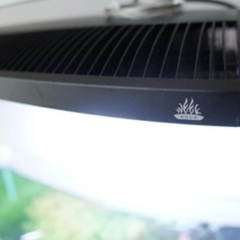 Week aqua 430 RGB light