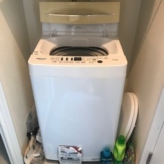洗濯機　Hisense HW-E5503 