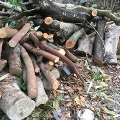 ②材木　木材　丸太　薪　焚き木　無料　DIY 薪ストーブ