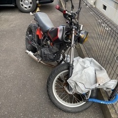 今週末まで　TW200 DG07J