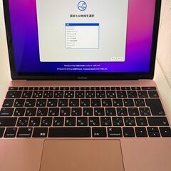 Apple MacBook Retina 12 (2017) A...