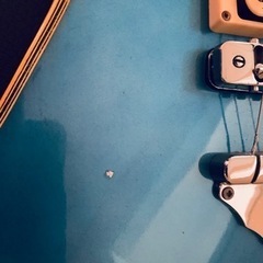 GRECO M-1000 ミラージュ リック・ニールセン