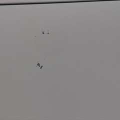 【リサイクルサービス八光　田上店　安心の1か月保証　配達・設置OK】ハイアール Haier JR-NF140K W [冷凍冷蔵庫 （138L 右開き） ２ドア ホワイト]