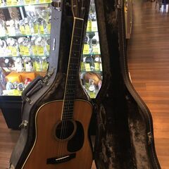 Morris モーリス アコースティックギター W-35 アコギ 縦ロゴ