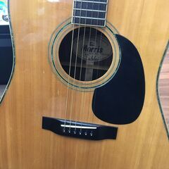 Morris モーリス アコースティックギター W-35 アコギ 縦ロゴ