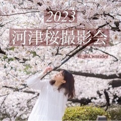 【 2023河津桜撮影 】