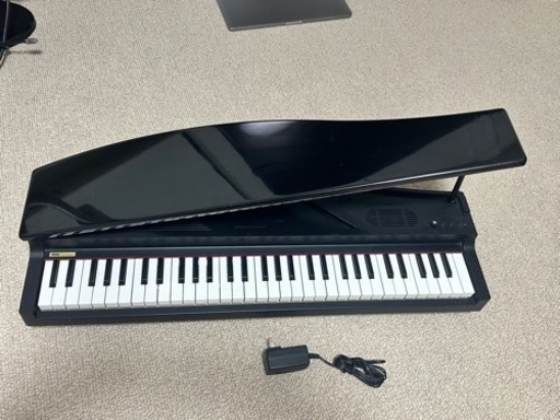 鍵盤楽器、ピアノ KORG Micro Piano