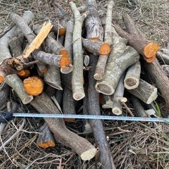 薪　生木　