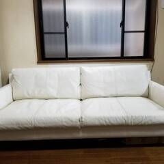 ACTUS(アクタス) アイラーセン 本革 ソファ ホワイト