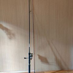 ラグゼ ソルテージ チータRR　86MLとシマノ ストラディック C3000　セット