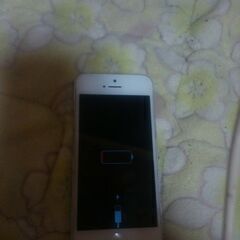 )iphone 5