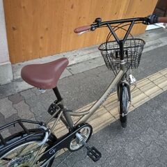 SHIONO] GOOD TIME(グッドタイム) 20吋折り畳み自転車 外装6段/マット 