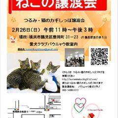 ２月２２日（日）つるみ・猫のカギしっぽ譲渡会（JR鶴見駅西口歩５...