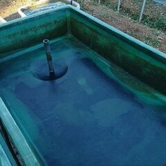 FRP水槽 大型水槽 金魚すくい メダカ ランチュウ 300ℓ