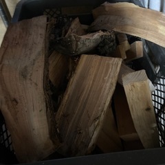 薪に使う木を無料で引き取りします！