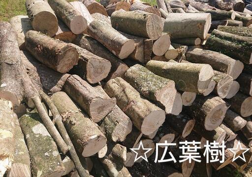 【薪割りされる方必見❗】★広葉樹★未乾燥★薪玉切り★