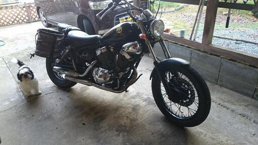 ヤマハビラーゴXV250実動車