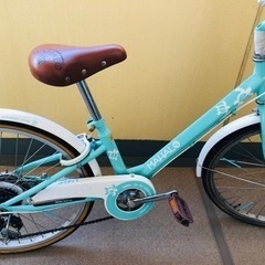 子ども用自転車　22インチ　ハワイアン柄　ミント色