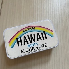 ハワイ　Hawaii ミニケース