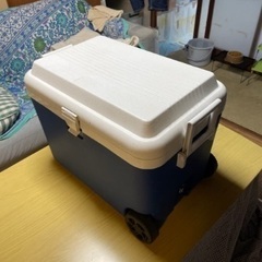 クーラーボックス45L