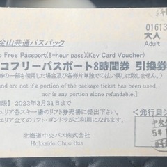 ★ニセコ 全山共通 8時間券 リフト券