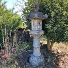 庭石、灯籠、鯉