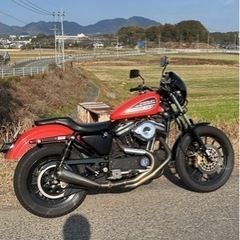 【ネット決済】ハーレー　XL883R   リジットマウント　キャ...