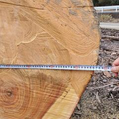 楠木 クスノキ 原木 丸太