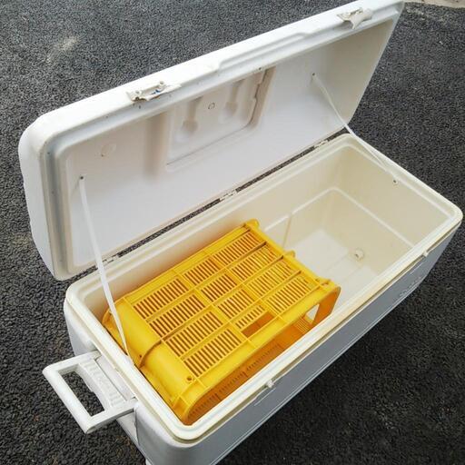 イグルー クーラーボックス 大型」の人気商品一覧 | 安い商品を通販 