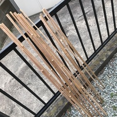 値下げ‼️家庭菜園に便利❗️竹製の支柱（12本）