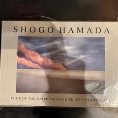 SHOGO HAMADA