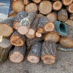 薪　広葉樹の薪