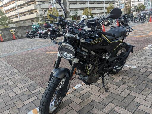 スヴァルトピレン401