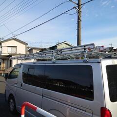 ピカ 2連ハシゴ 2EX-80