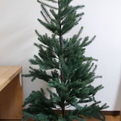 IKEAのクリスマスツリー約170cm