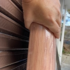 【ソフトボード】新品　243センチ　初心者入門ボード