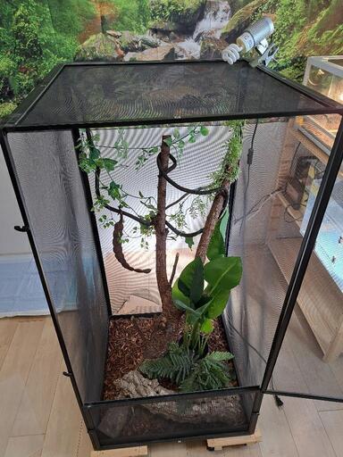 【訳あり】特大樹上棲爬虫類ケージセット 訳あり】特大樹上棲爬虫類ケージセット