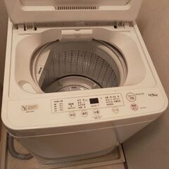 使用半年の洗濯機です。