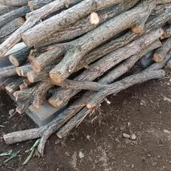 クヌギ　椎茸原木、薪にいかがですか