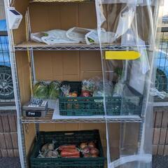 無人野菜販売所 (全てなんと100円)